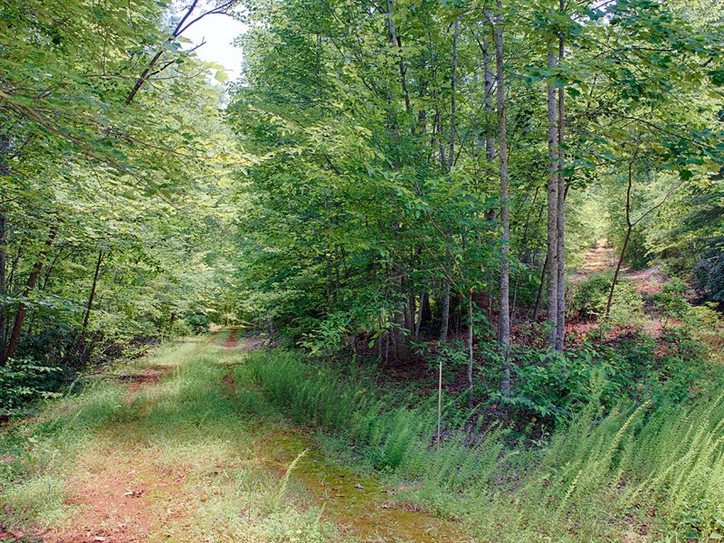 Nelson County Va Hiking Trails for sale