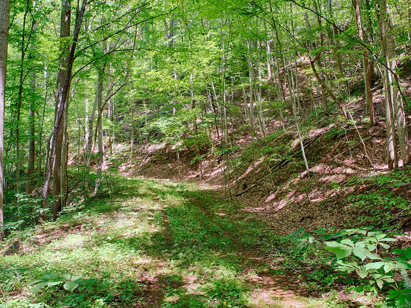 Land for sale in Nelson County Virginia