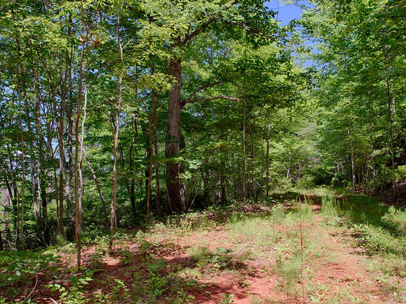 Nelson County Virginia Land for Sale