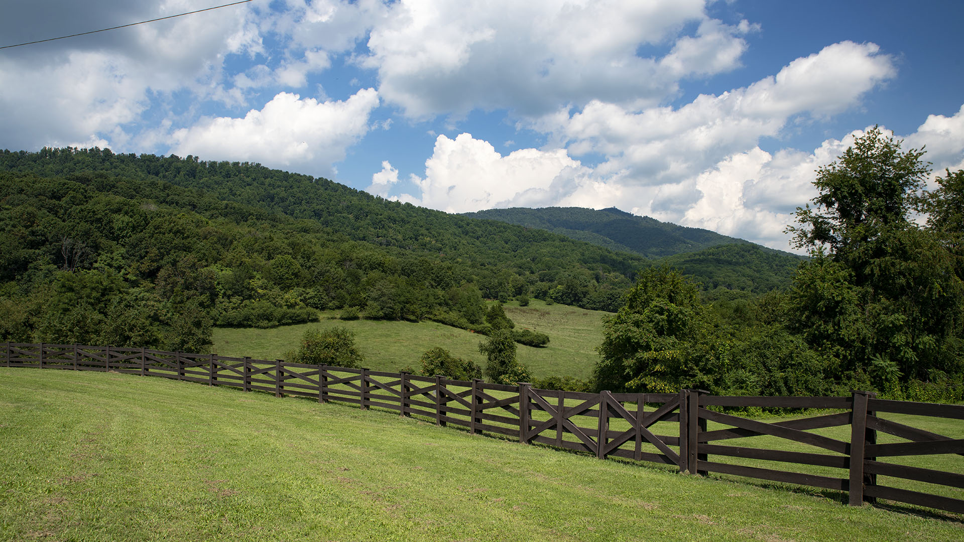 The Dillard Mansion - Stone Mansion for Sale in Virginia