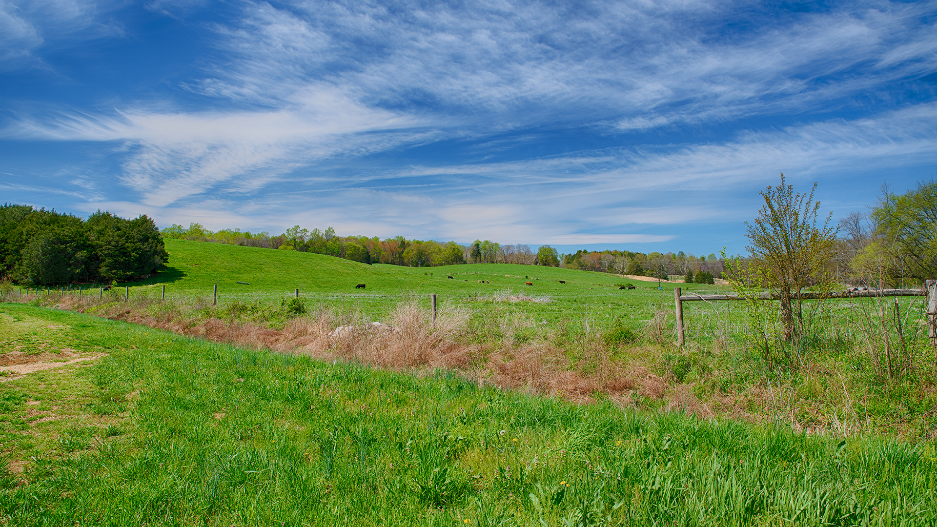 Virginia Cattle Farm for Sale