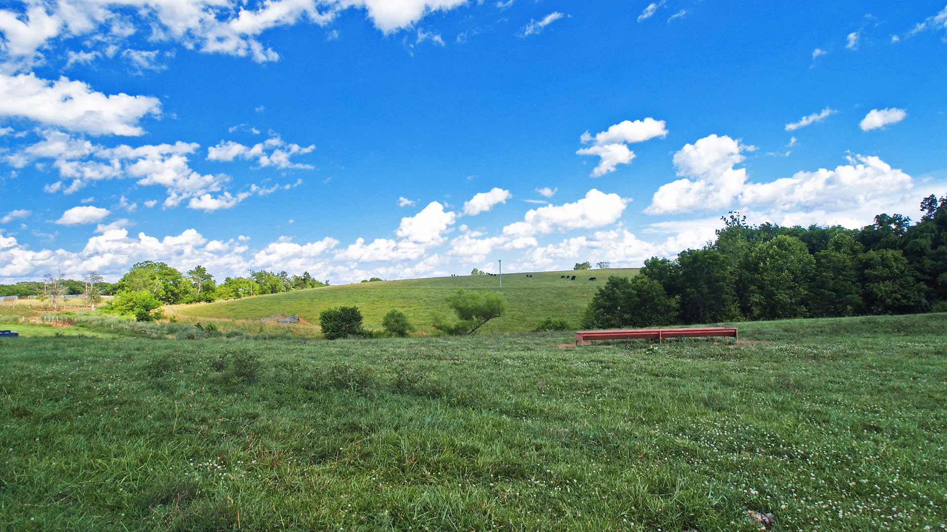 Virginia Cattle Farm for Sale