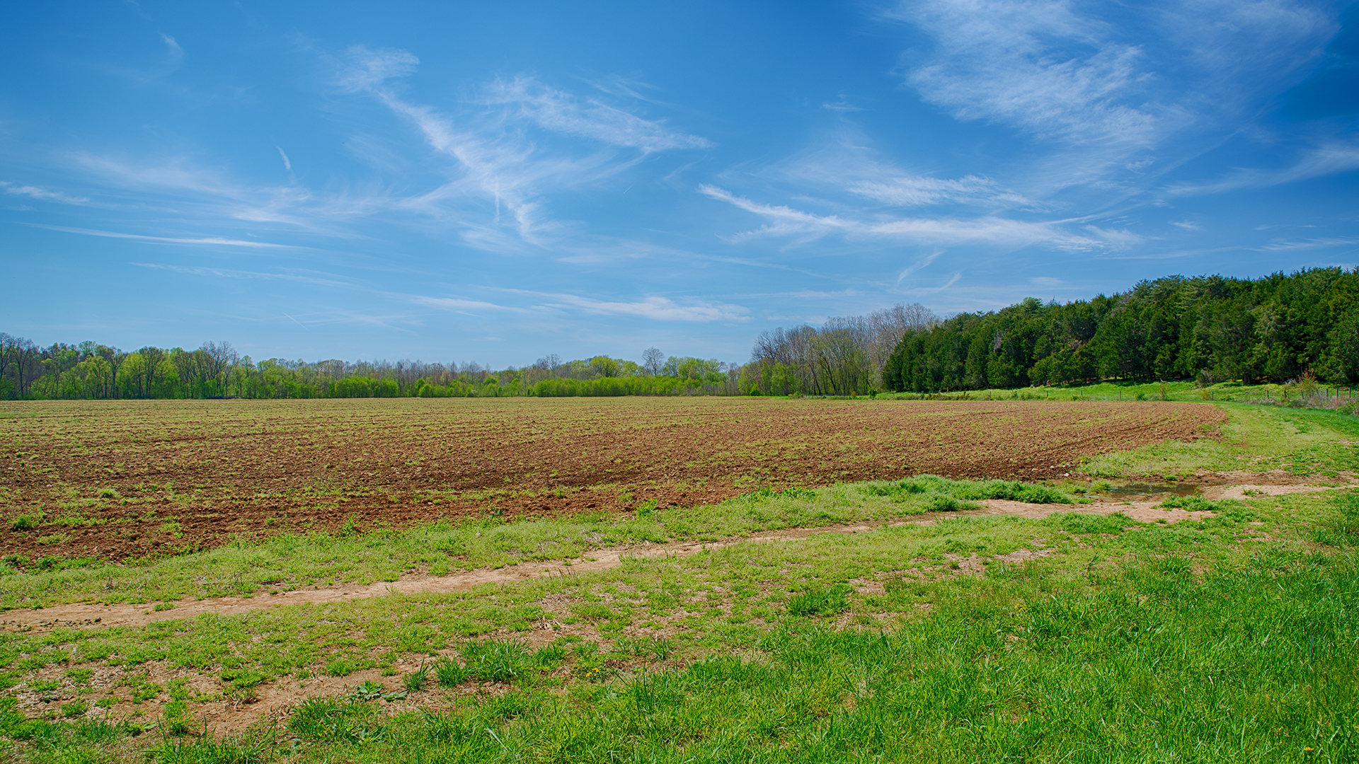 Virginia Cattle Farm for Sale