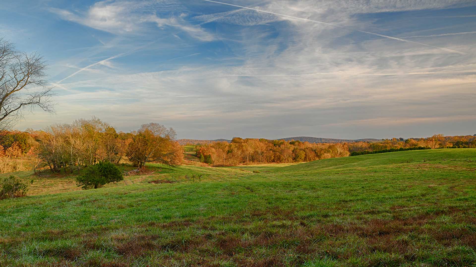 Virginia Cattle Farm for Sale