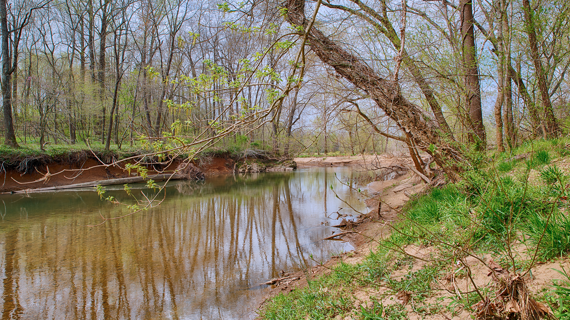 Virginia Cattle Farm for Sale