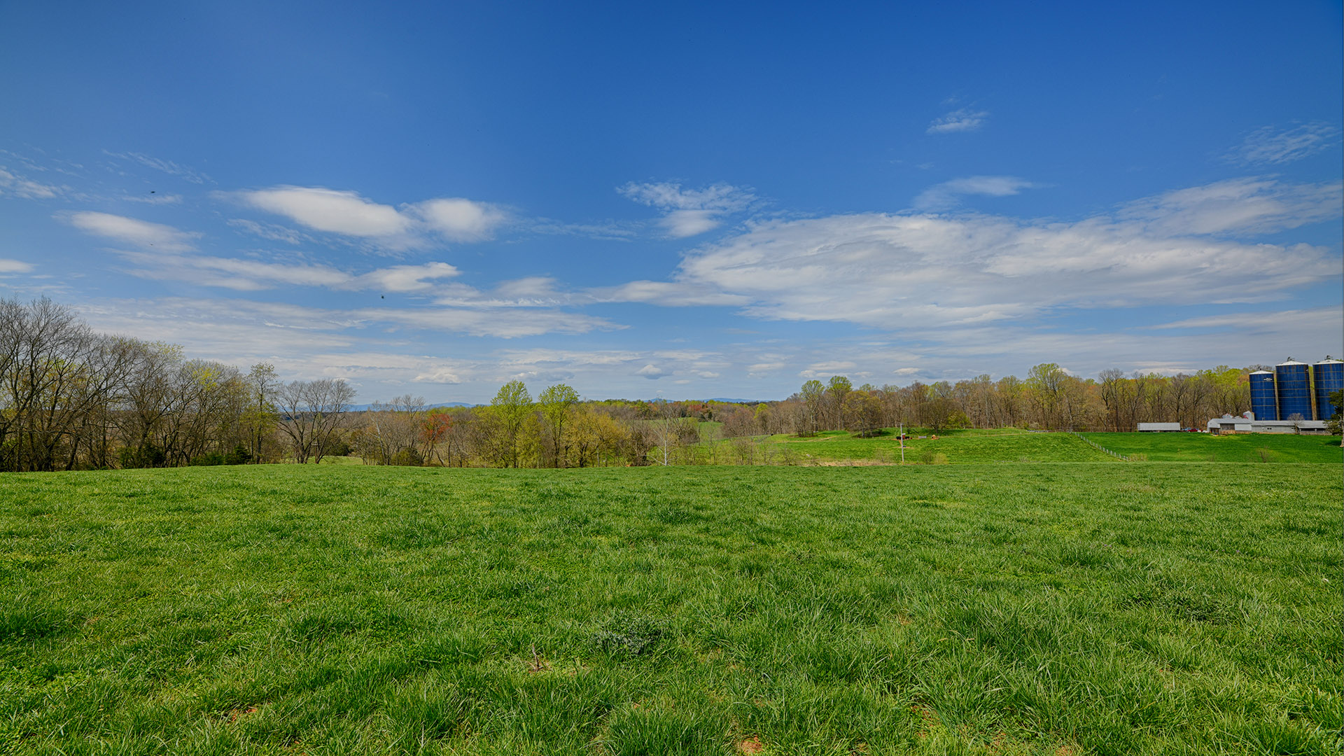 Virginia Cattle Farm for Sale