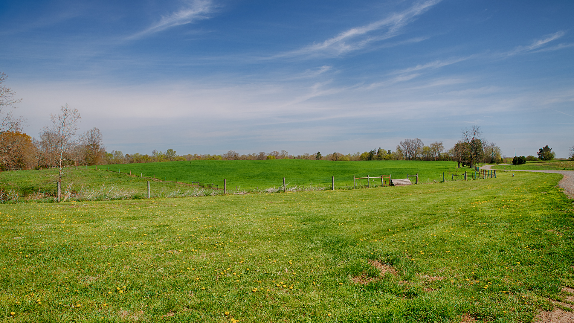 Virginia Cattle Farm for Sale