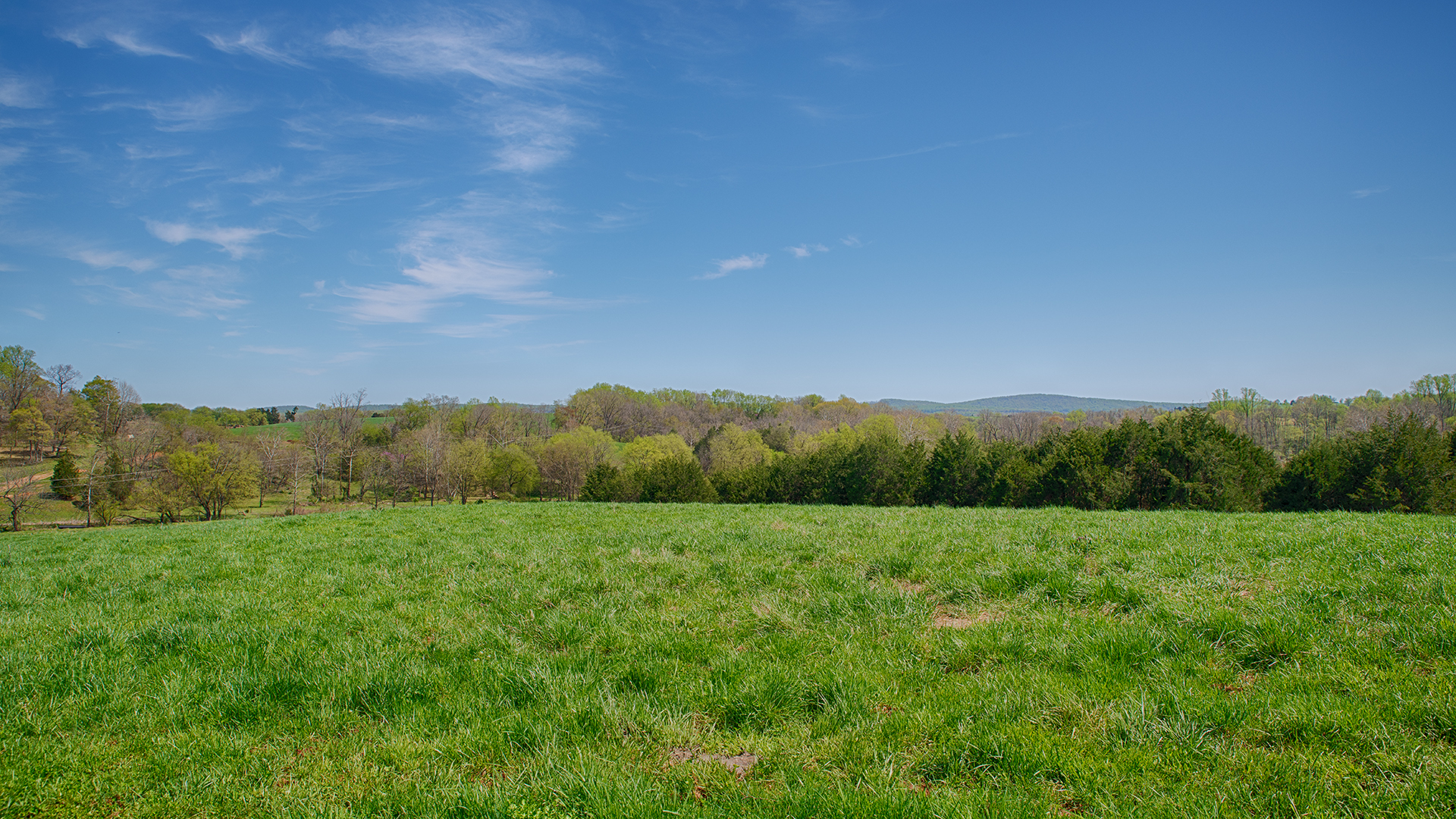 Virginia Cattle Farm for Sale