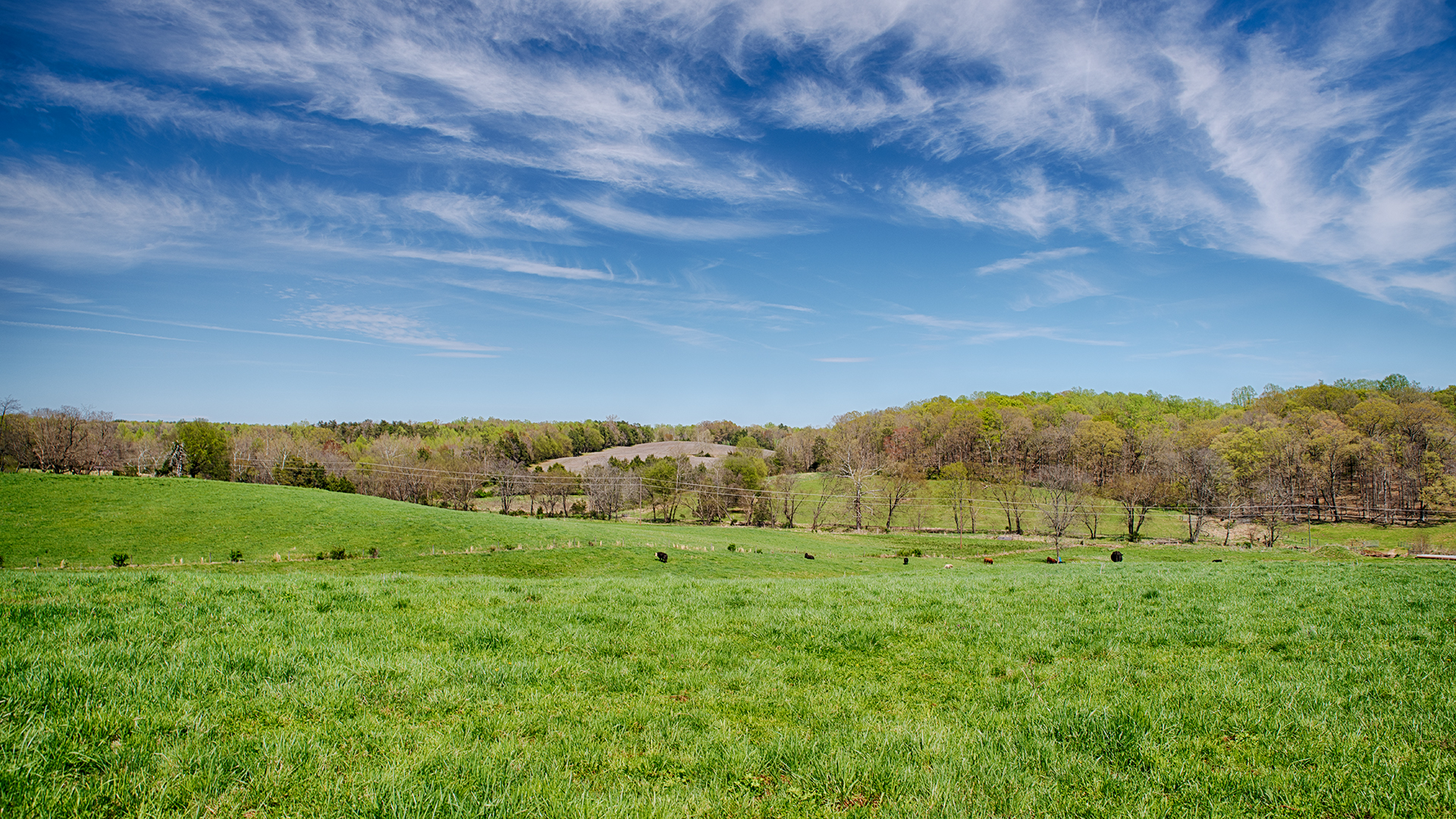 Virginia Cattle Farm for Sale