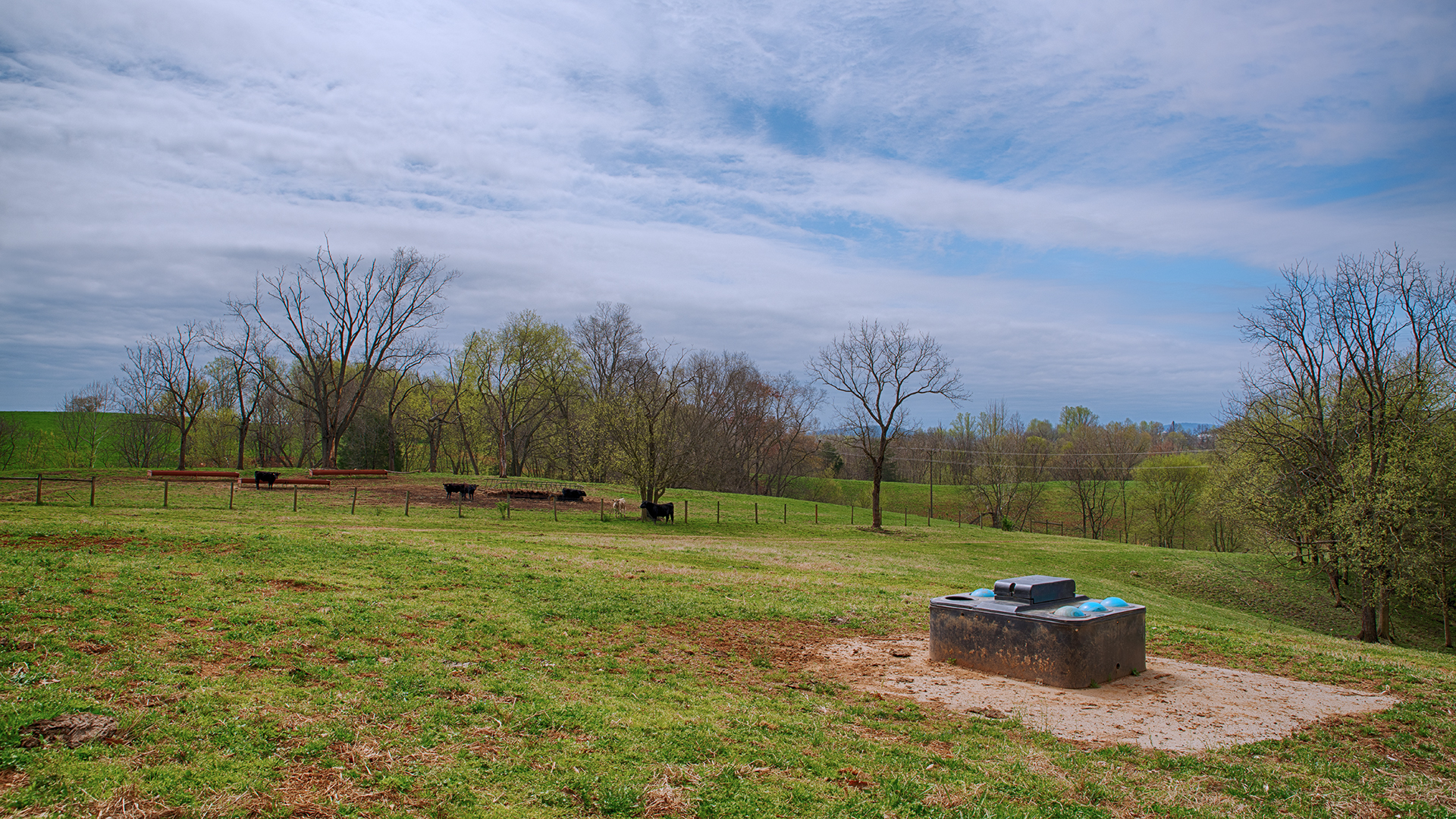 Virginia Cattle Farm for Sale