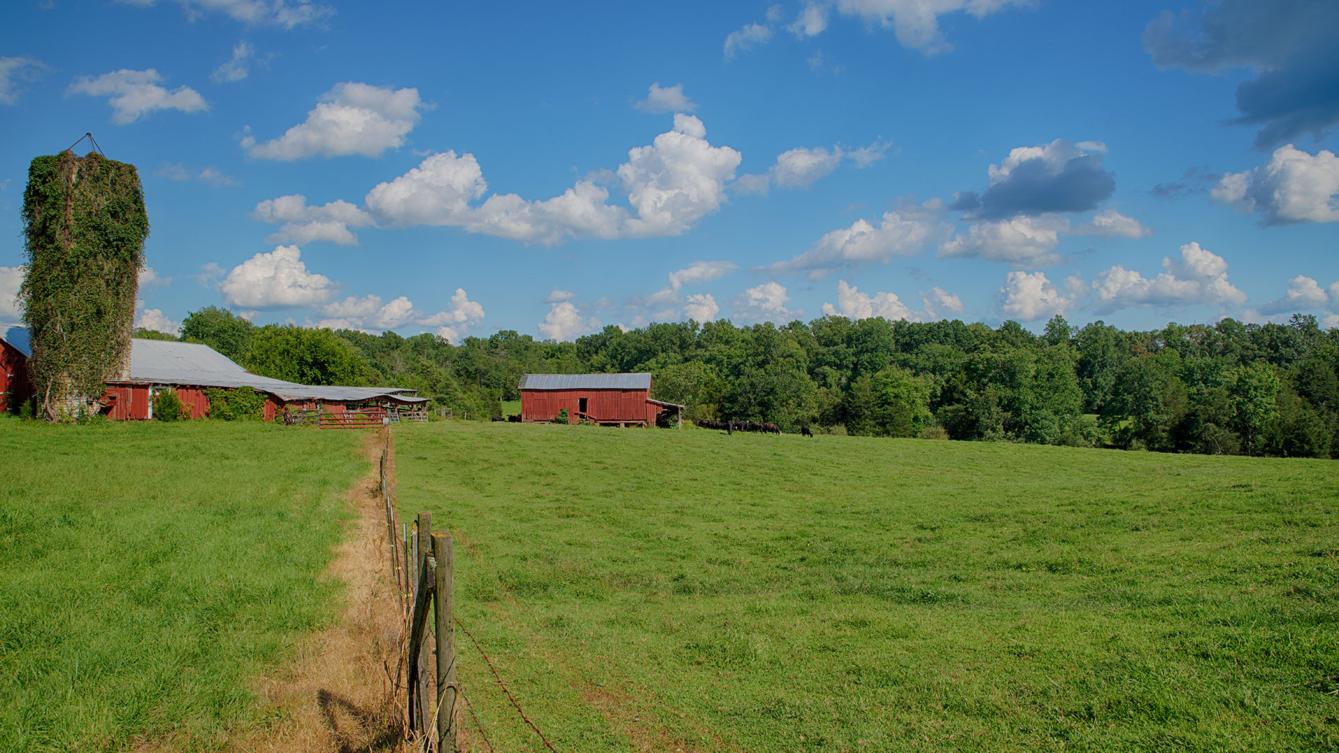 Fiddlers Green Farm - Acreage for Sale in Orange County VA