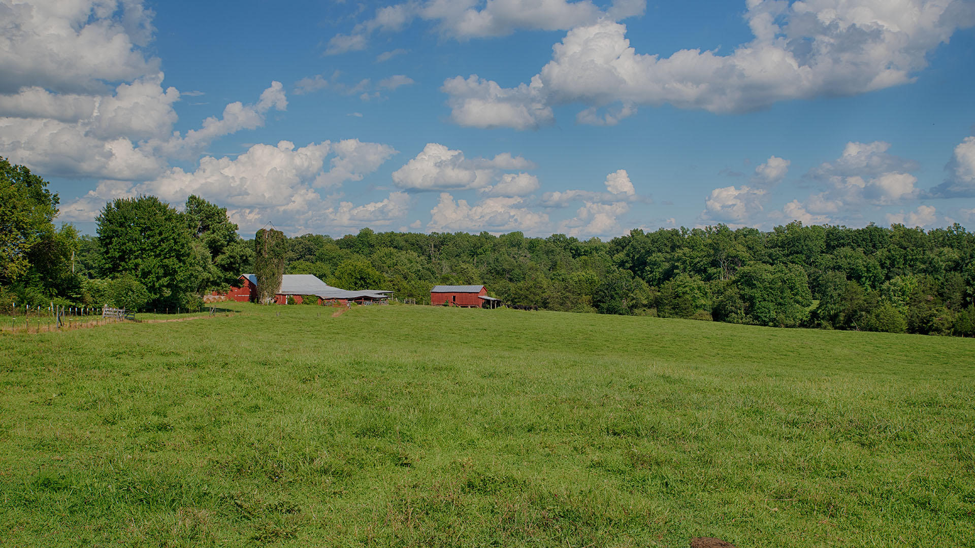 Acreage for Sale in Orange County VA