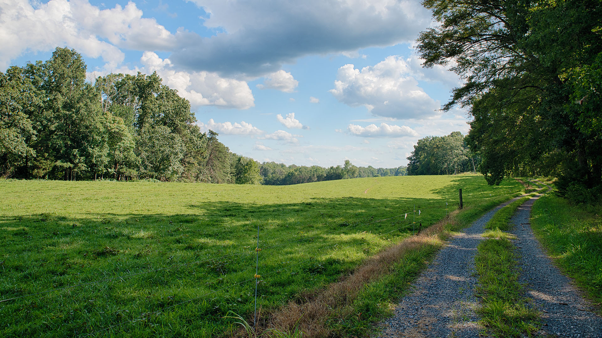 Fiddlers Green Farm - Acreage for Sale in Orange County VA