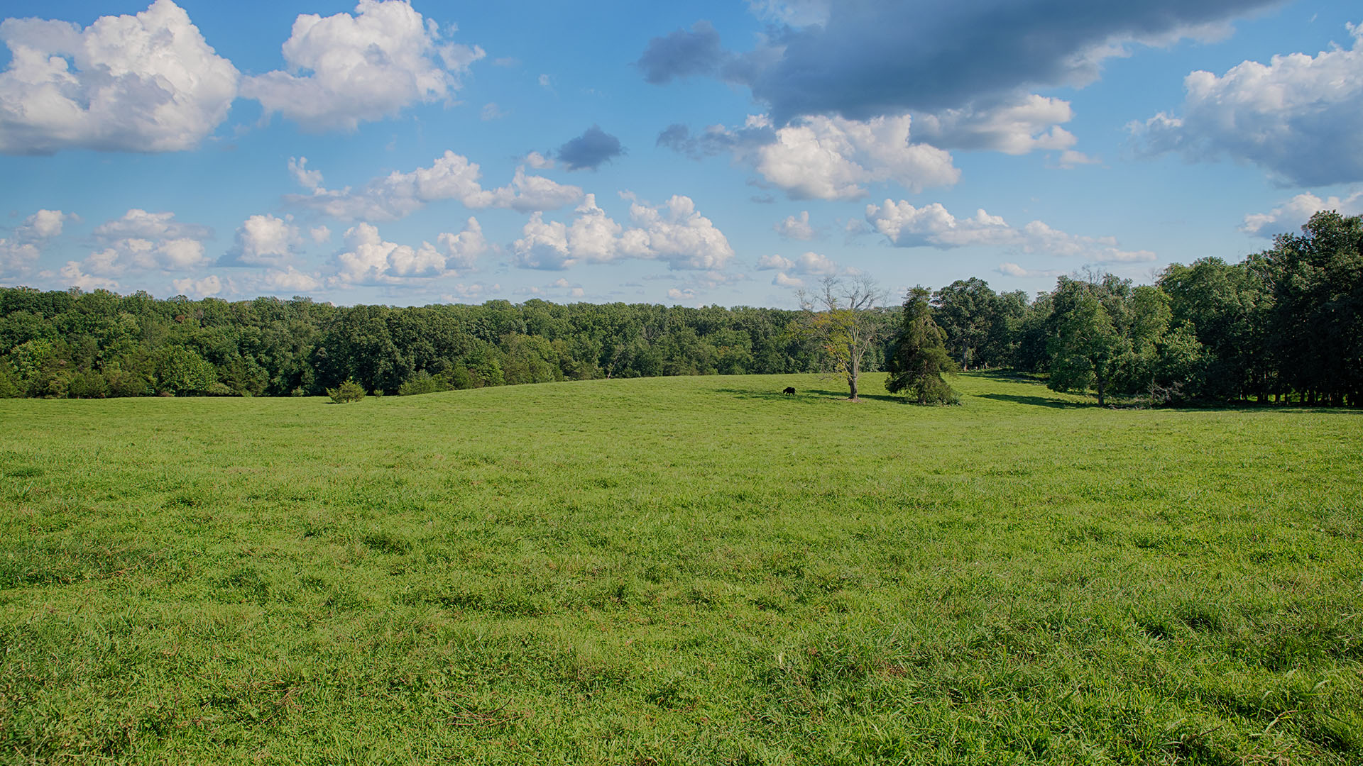 Fiddlers Green Farm - Acreage for Sale in Orange County VA