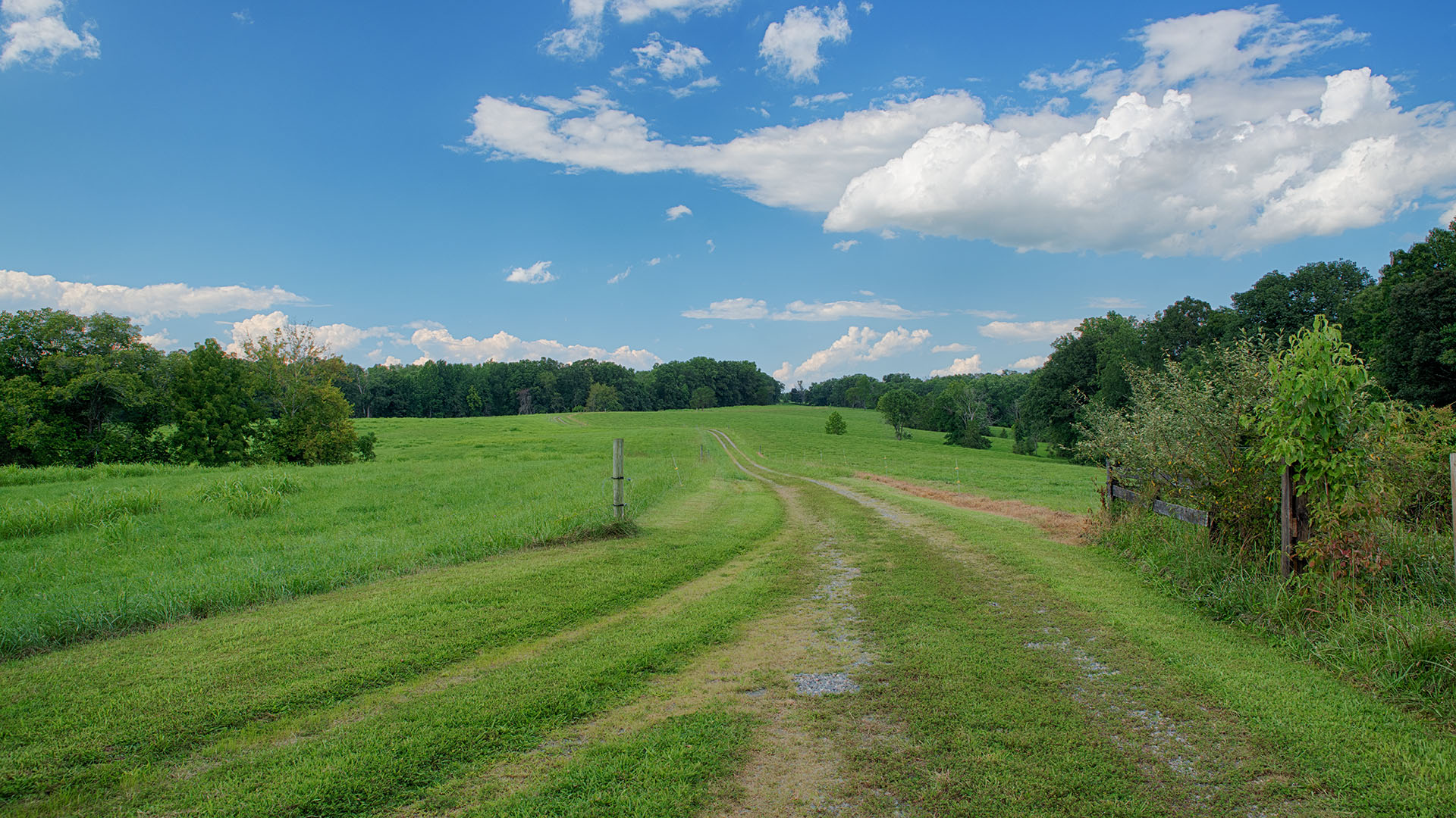 Fiddlers Green Farm - Acreage for Sale in Orange County VA