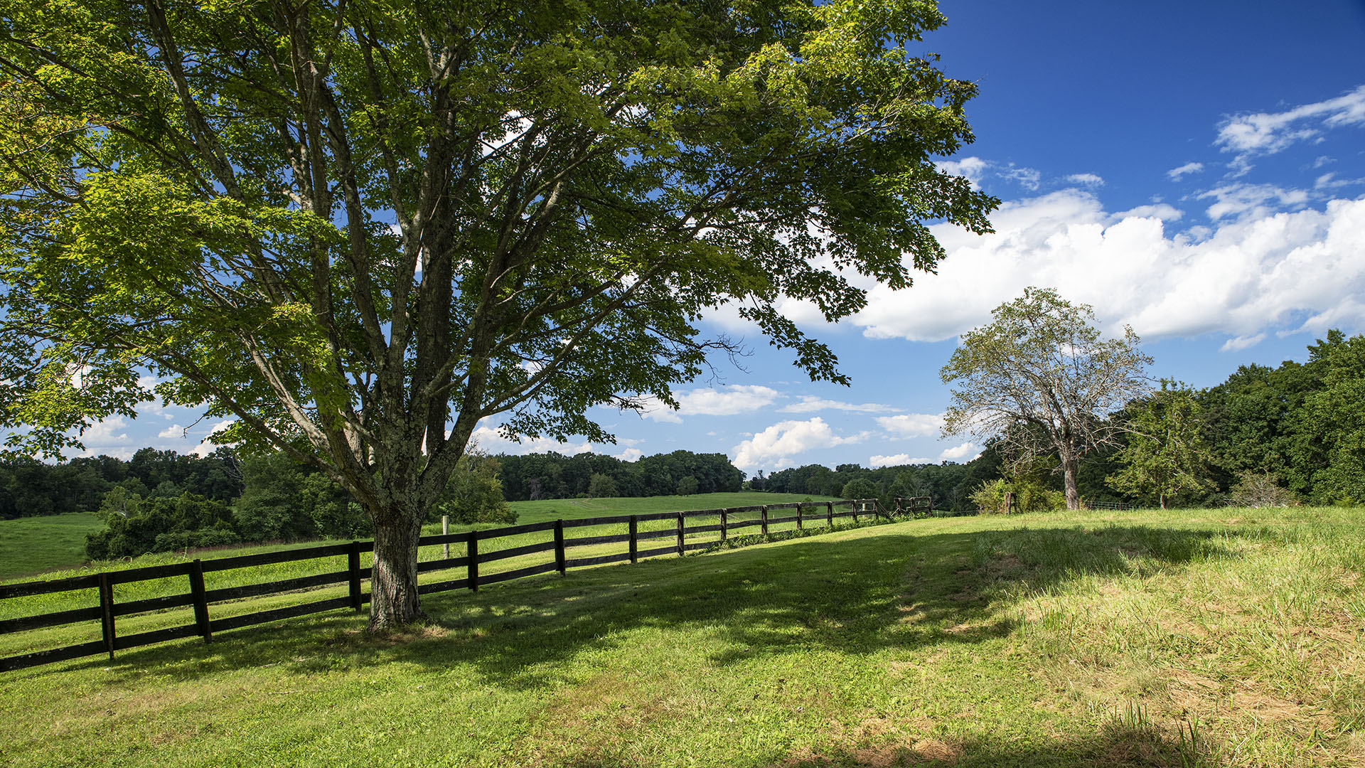 Fiddlers Green Farm - Acreage for Sale in Orange County VA