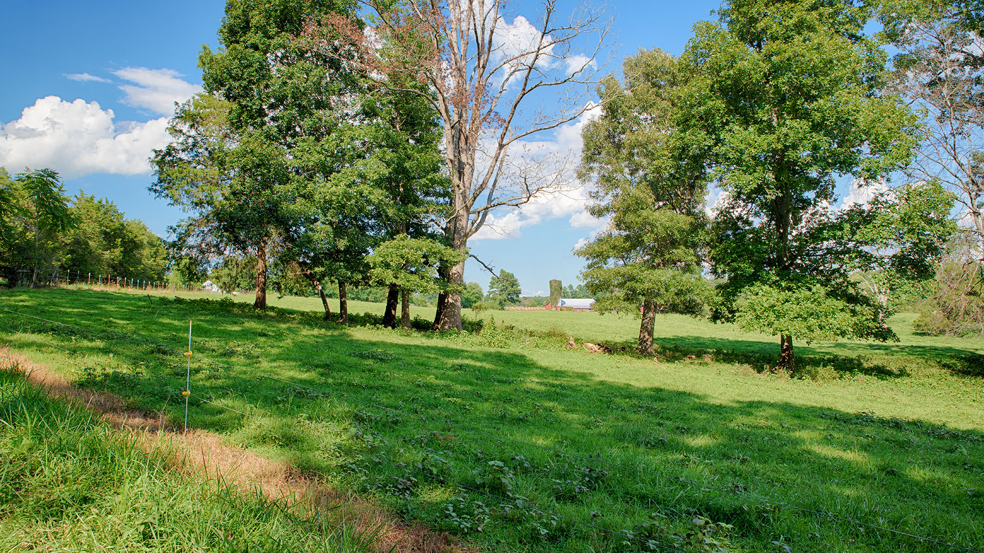 Fiddlers Green Farm - Acreage for Sale in Orange County VA