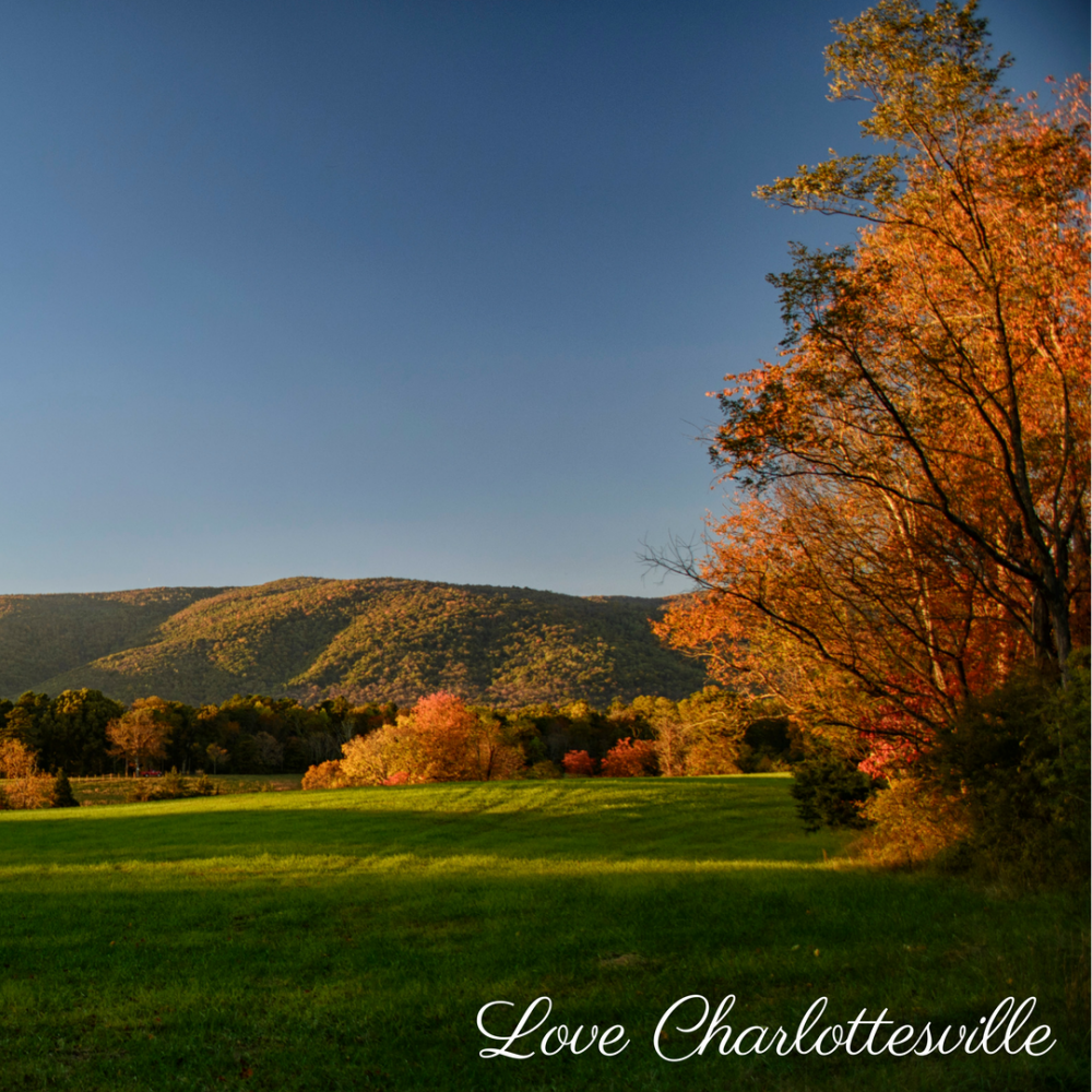 Charlottesville VA Farms for Sale