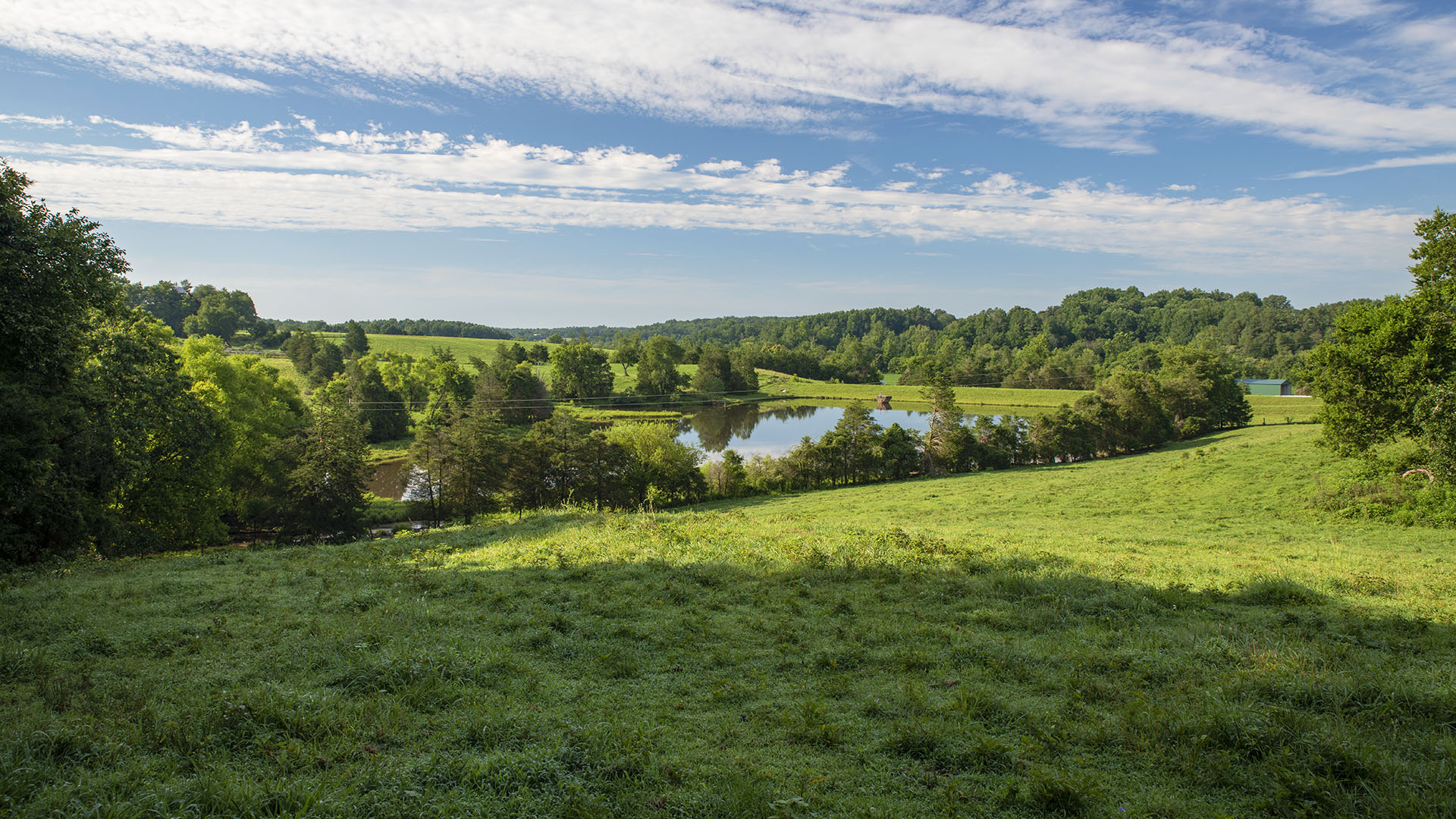 Mount Fern Farm - Large Farm for Sale in Madison County VA