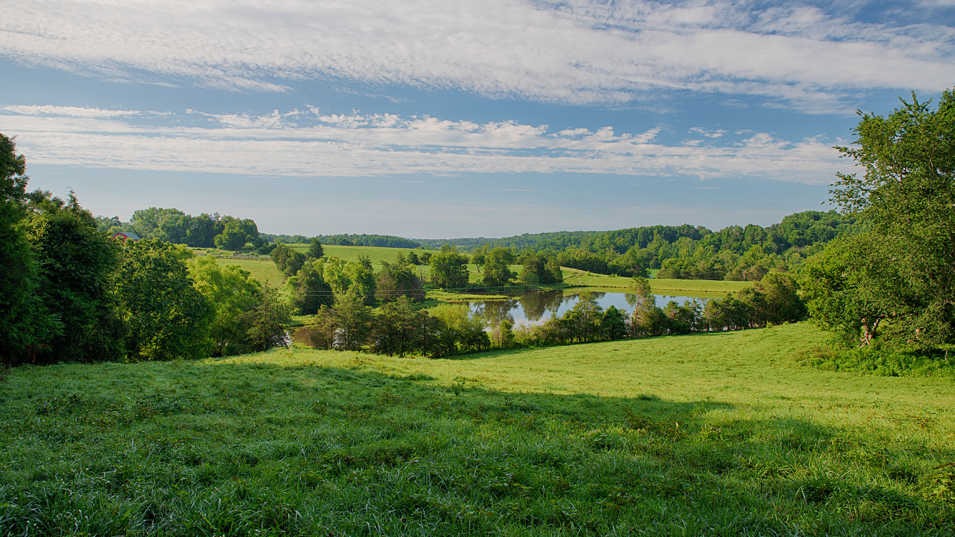 Mount Fern Farm - Large Farm for Sale in Madison County VA