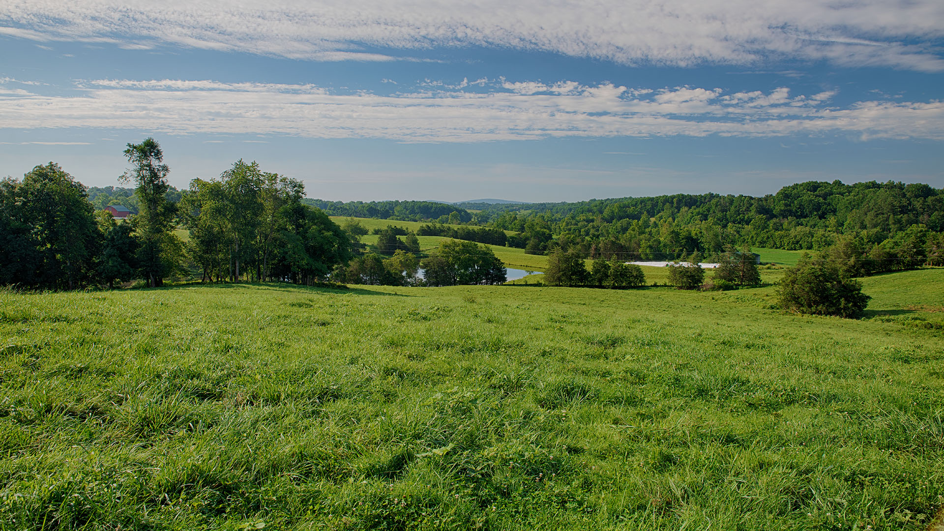 Mount Fern Farm - Large Farm for Sale in Madison County VA