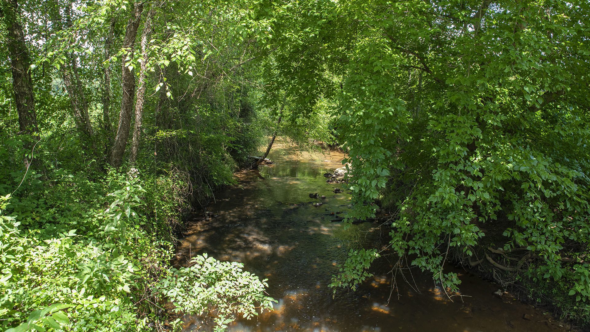 Mount Fern Farm - Large Farm for Sale in Madison County VA