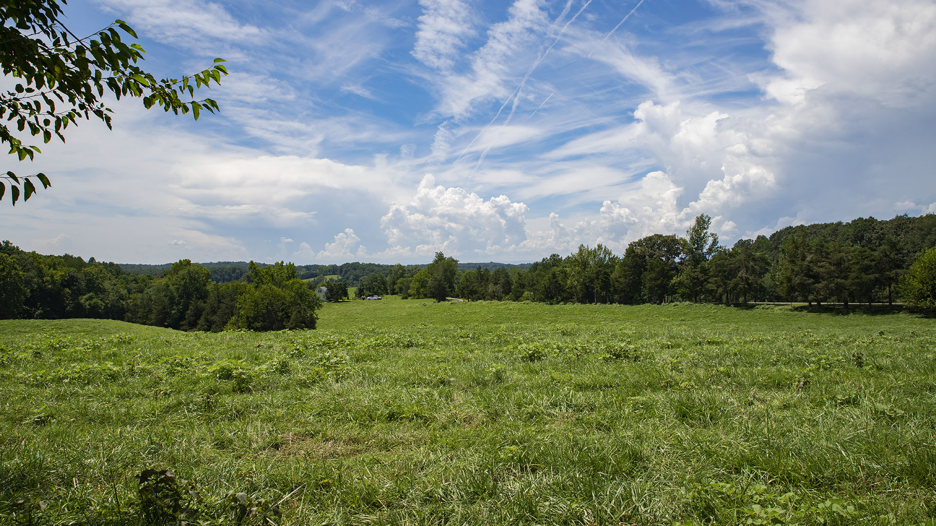 Mount Fern Farm - Large Farm for Sale in Madison County VA