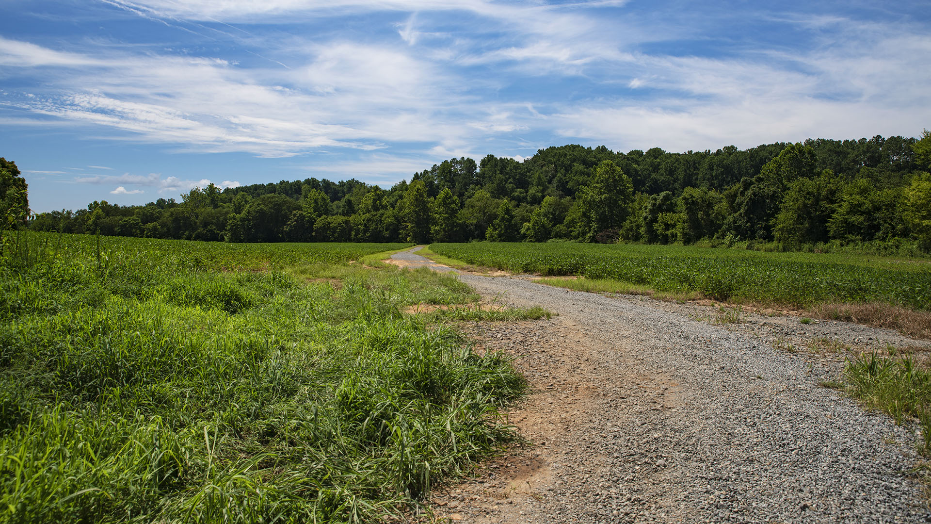 Mount Fern Farm - Large Farm for Sale in Madison County VA