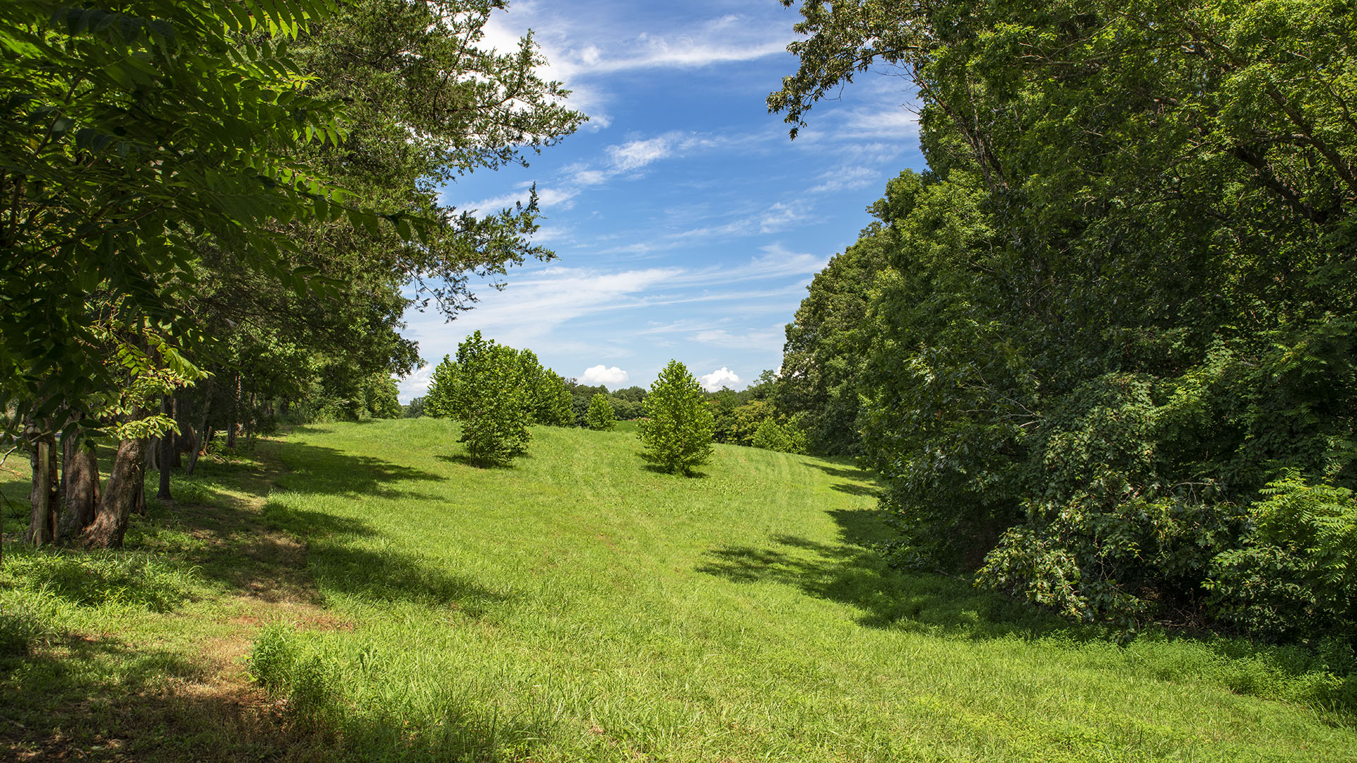 Mount Fern Farm - Large Farm for Sale in Madison County VA