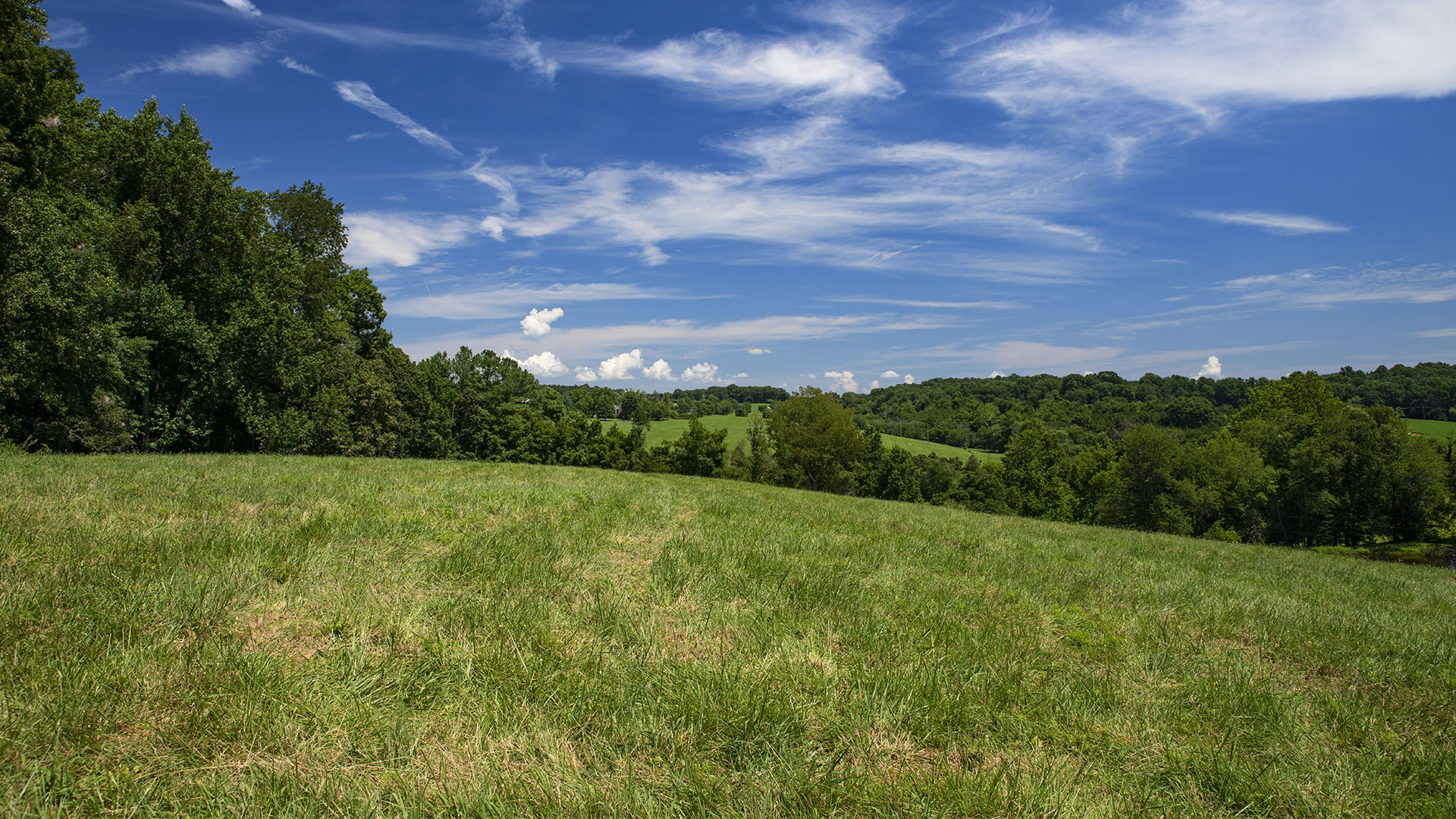 Mount Fern Farm - Large Farm for Sale in Madison County VA