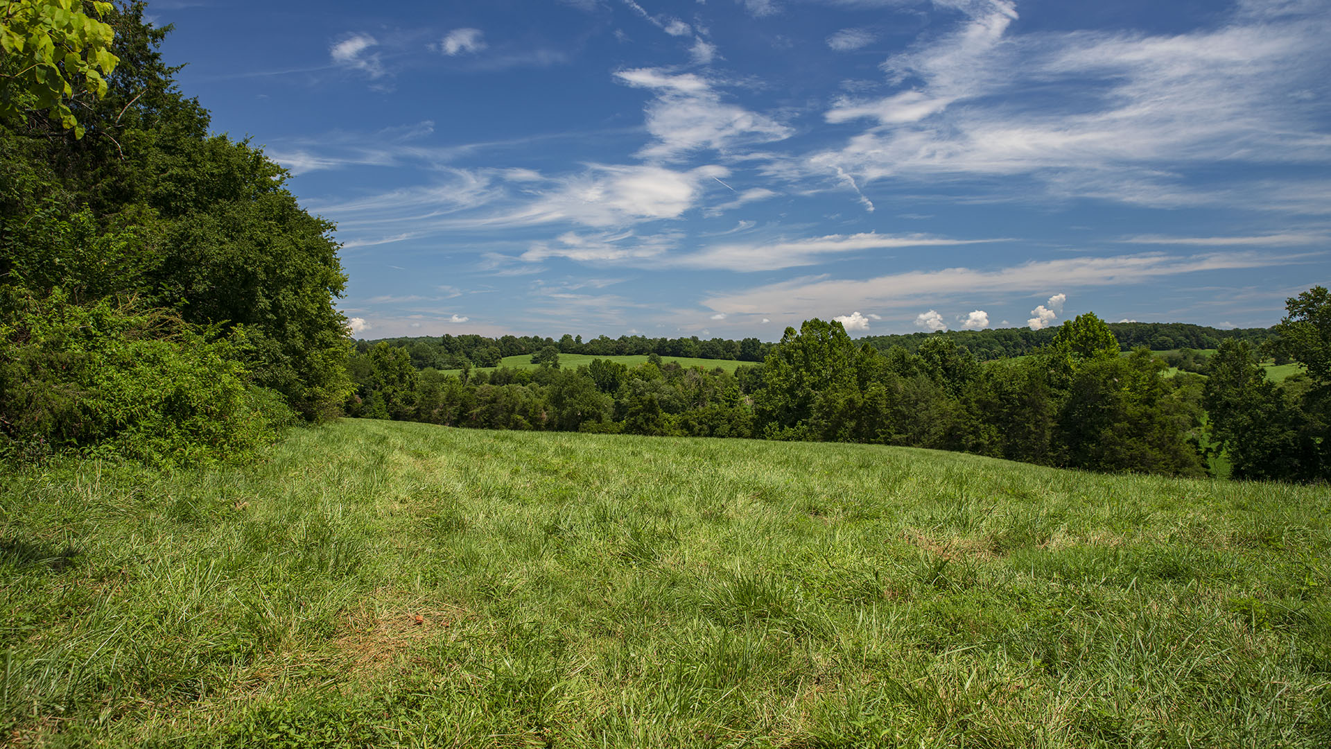 Mount Fern Farm - Large Farm for Sale in Madison County VA