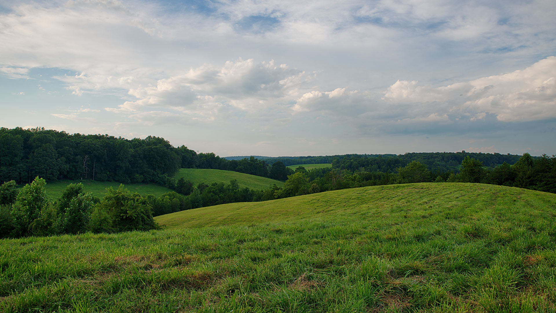 Mount Fern Farm - Large Farm for Sale in Madison County VA