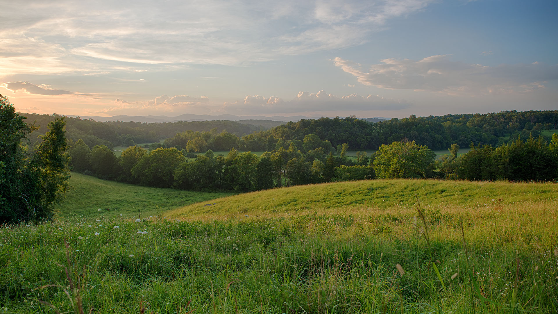 Mount Fern Farm - Large Farm for Sale in Madison County VA