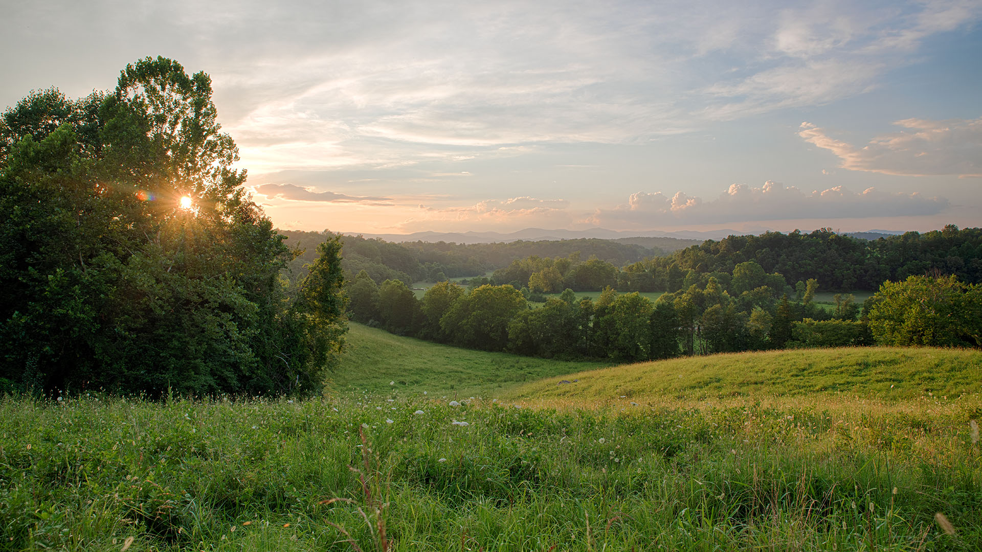 Mount Fern Farm - Large Farm for Sale in Madison County VA