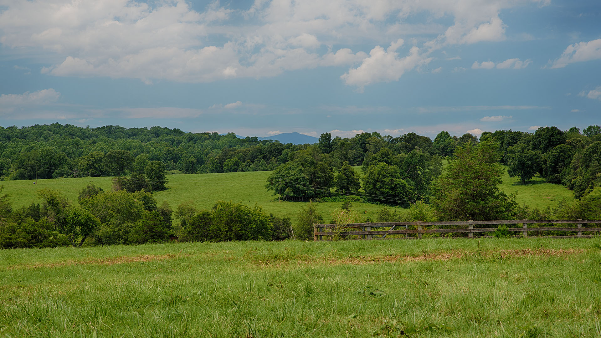 Mount Fern Farm - Large Farm for Sale in Madison County VA