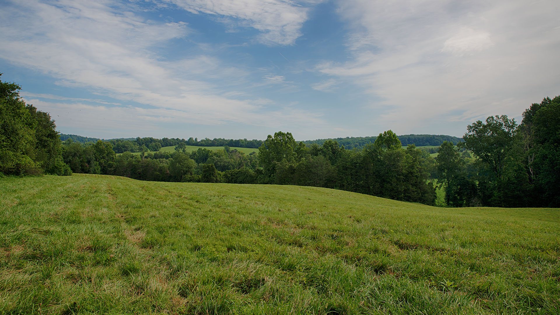 Mount Fern Farm - Large Farm for Sale in Madison County VA