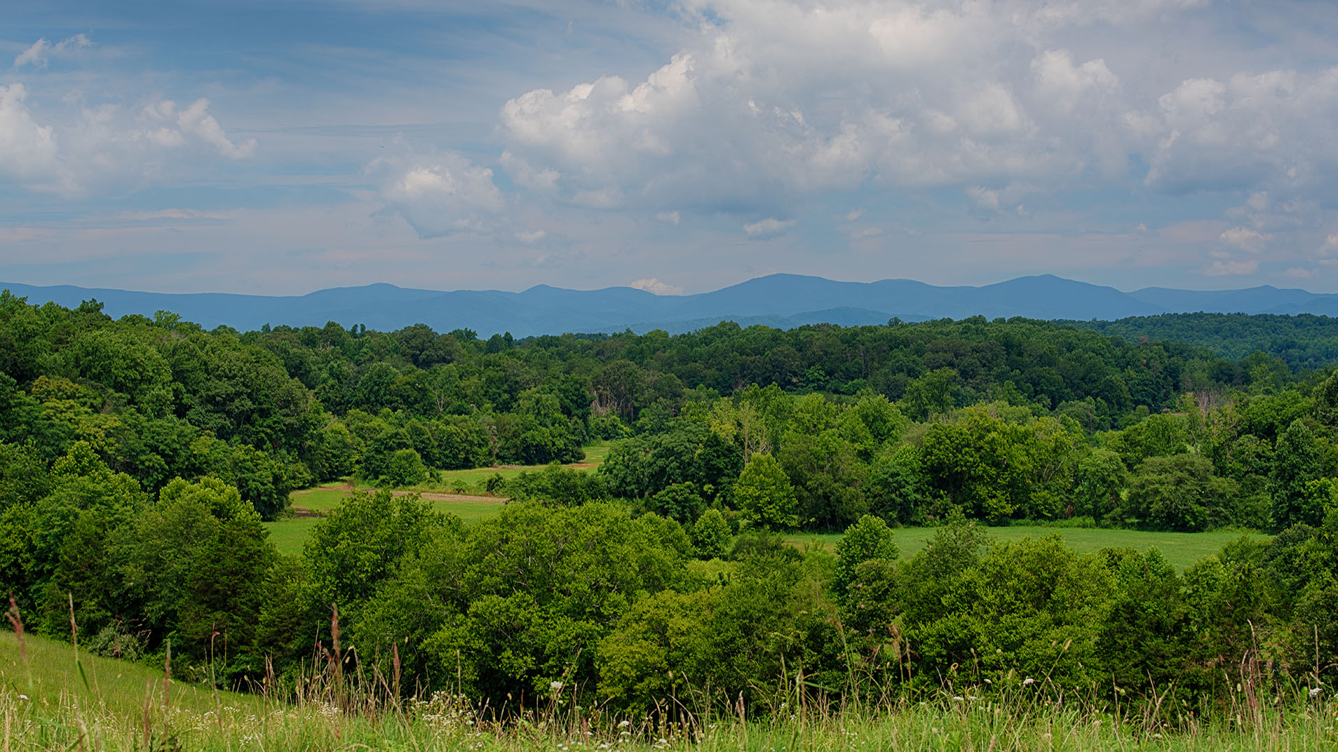 Mount Fern Farm - Large Farm for Sale in Madison County VA