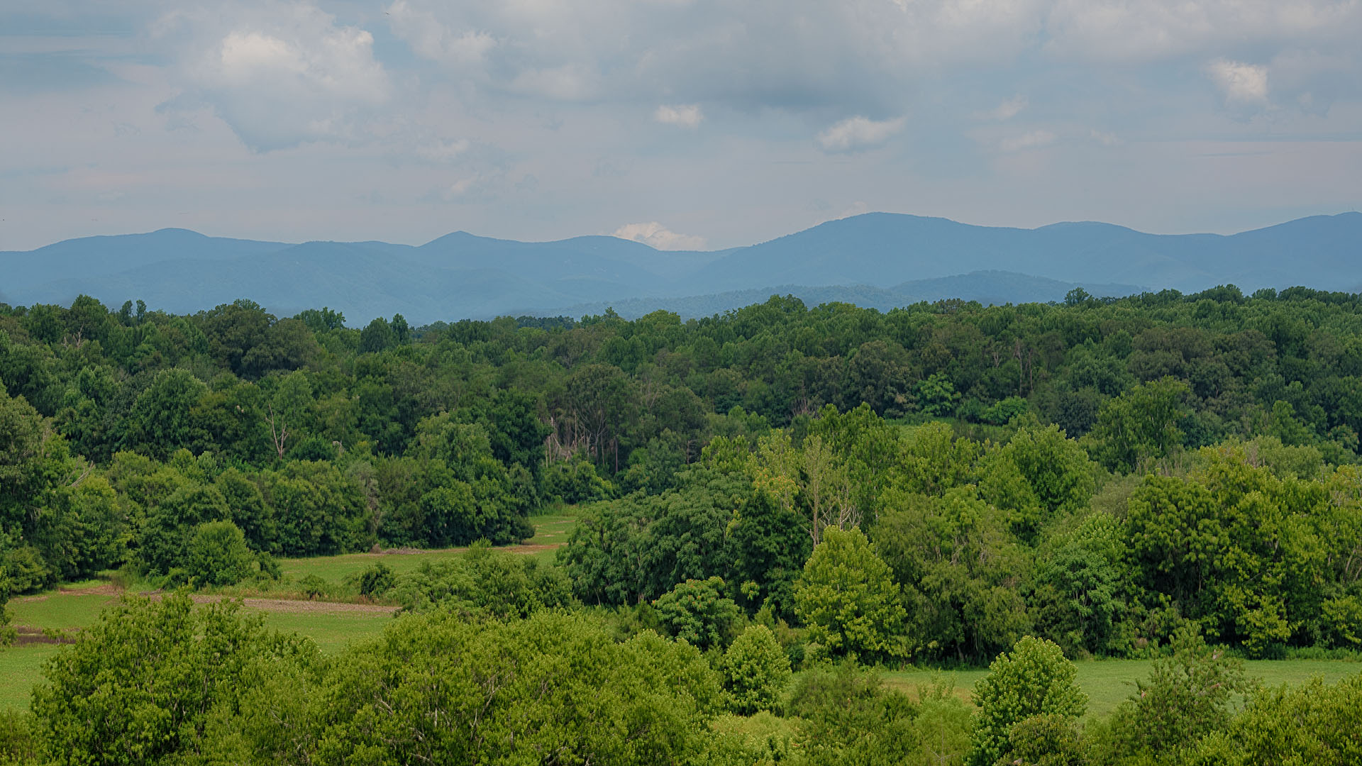 Large Farm for Sale in Madison County VA