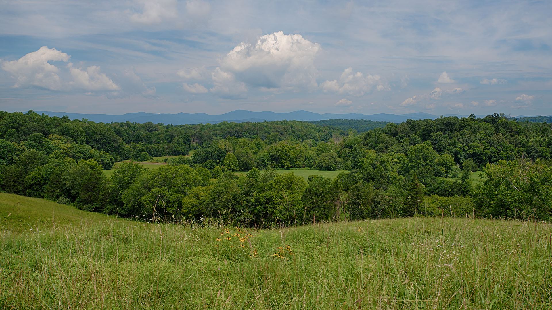 Mount Fern Farm - Large Farm for Sale in Madison County VA