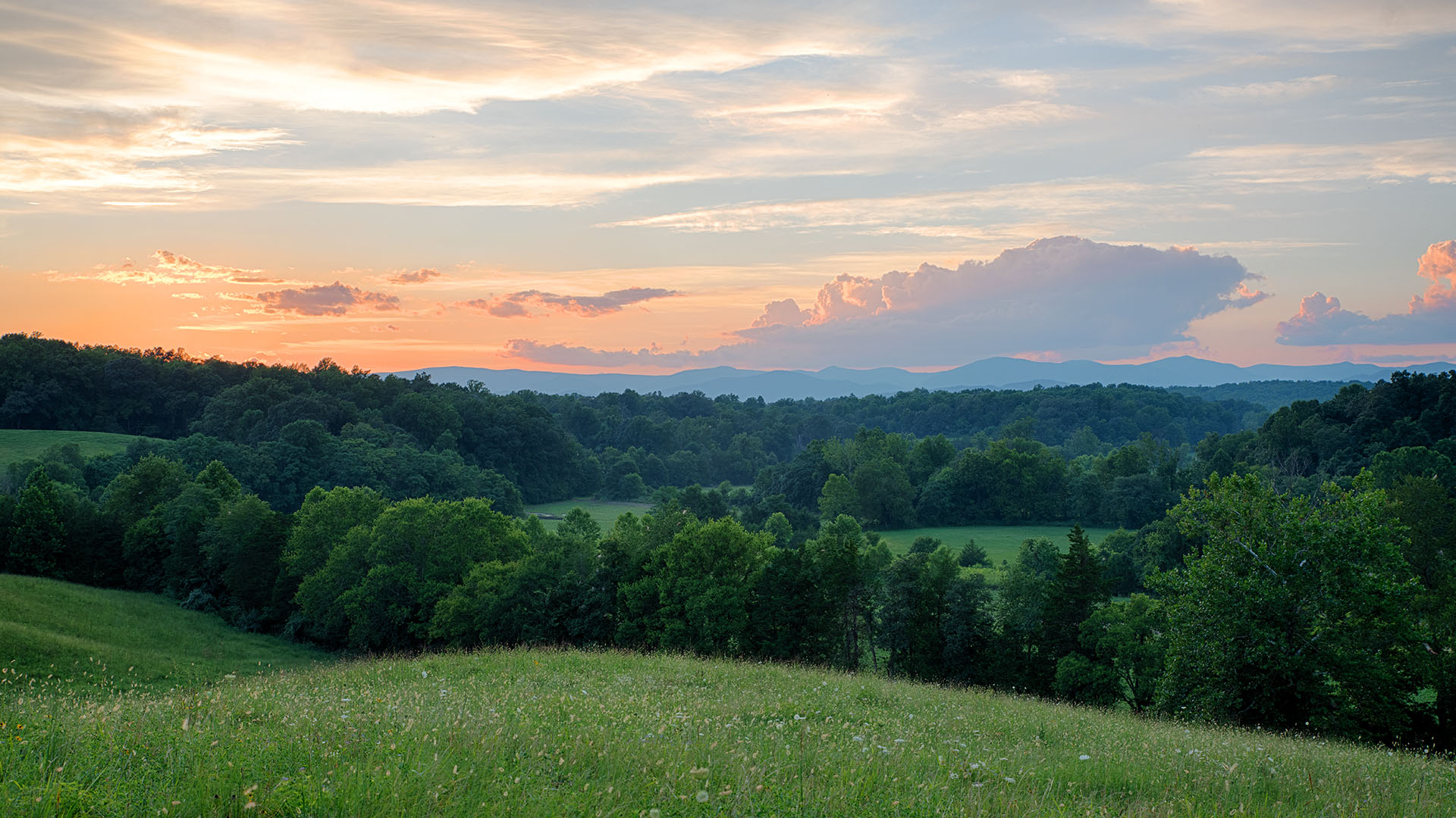 Mount Fern Farm - Large Farm for Sale in Madison County VA