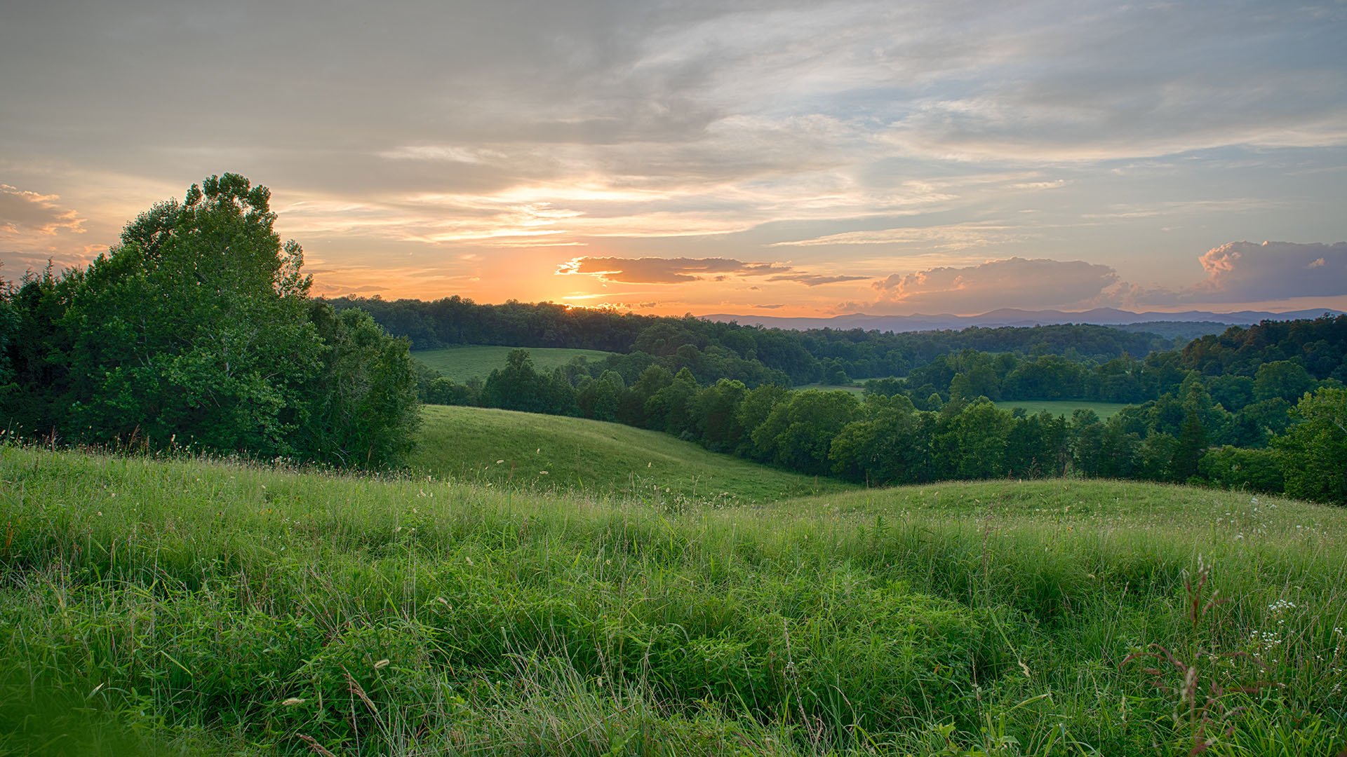 Mount Fern Farm - Large Farm for Sale in Madison County VA