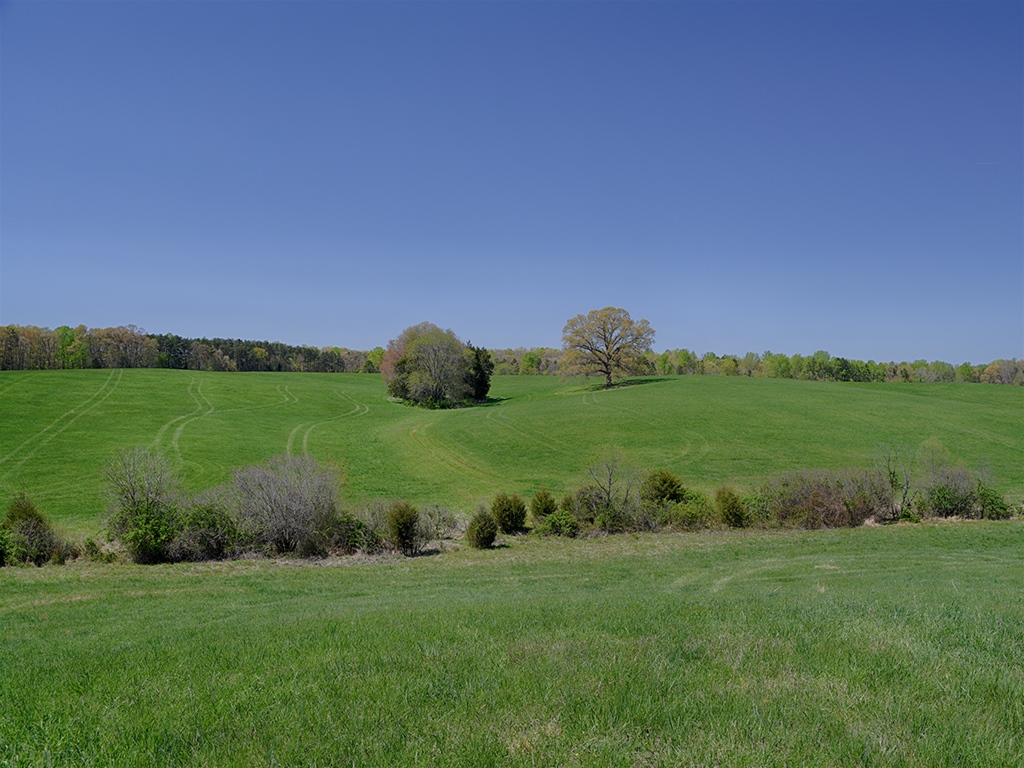 Virginia Farm for Sale