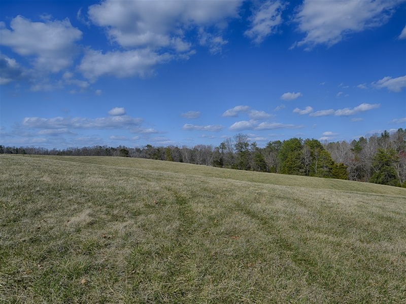 Louisa County Virginia Farm