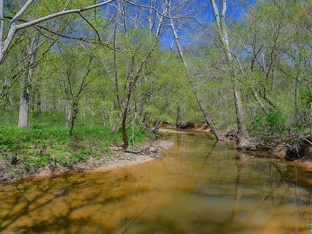 Farm in Virginia for Sale