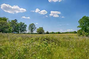 Land for sale in ALbemarle County, Virginia  