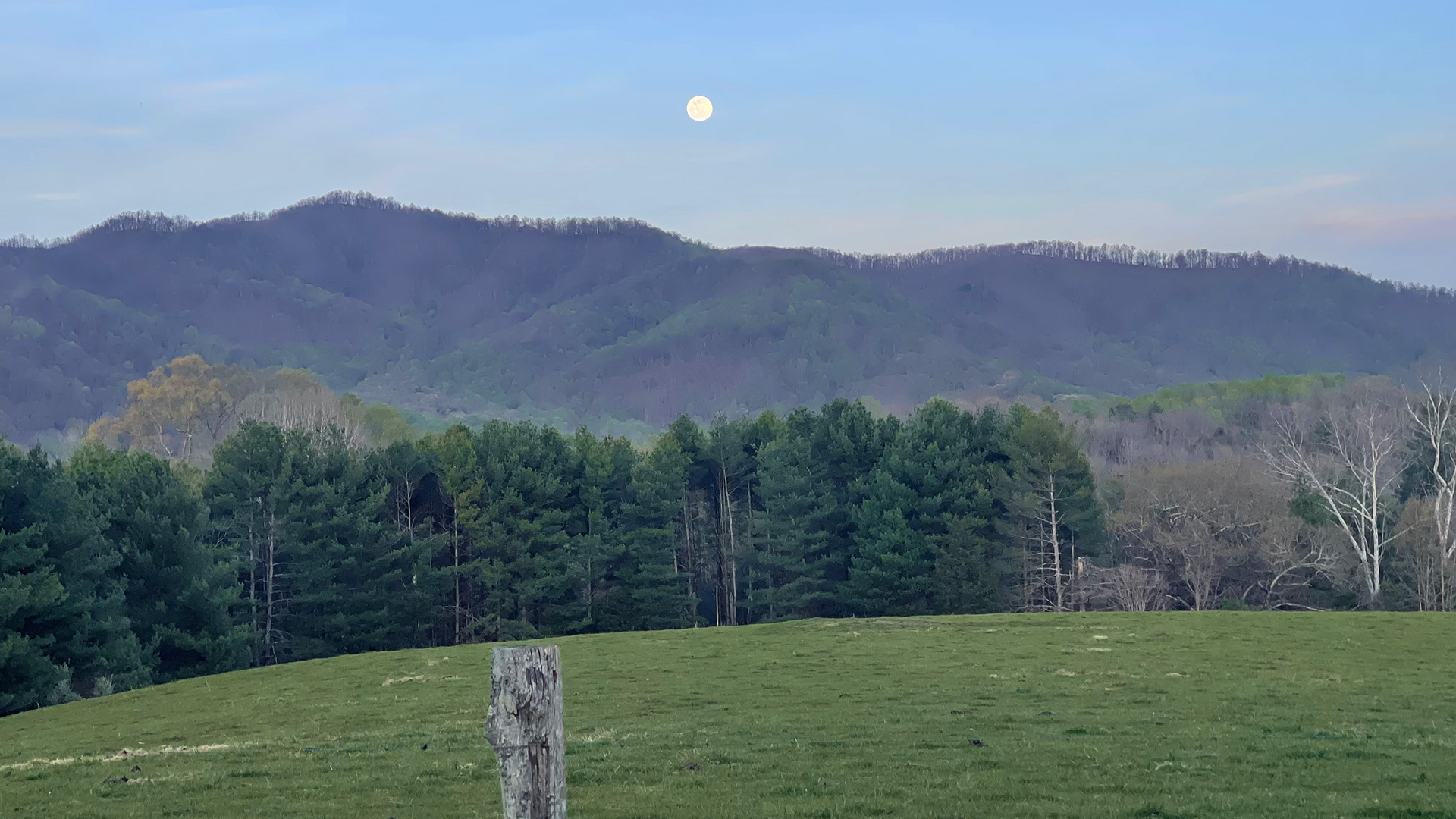 Red Hill - Historic Home for Sale in Virginia