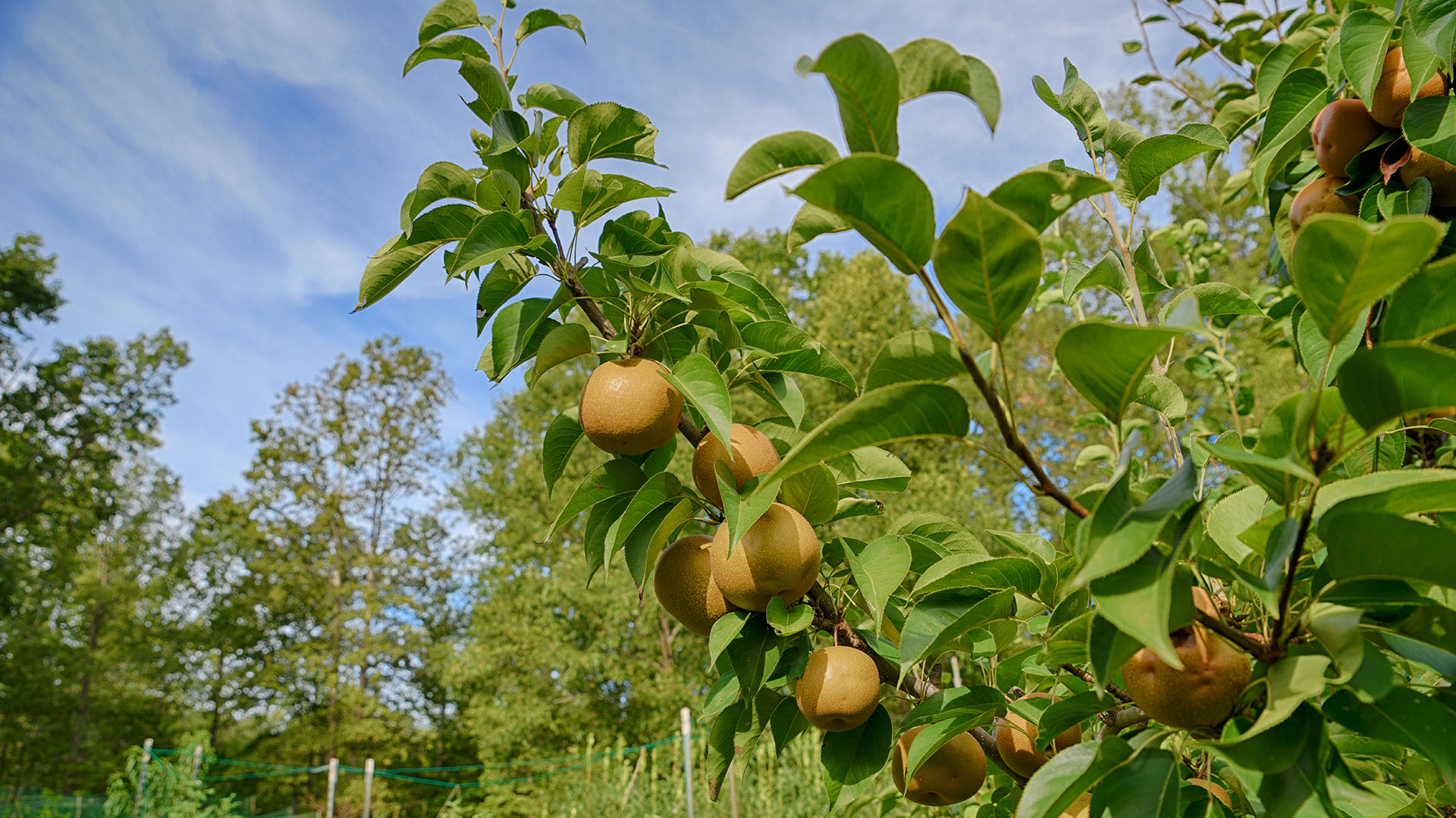 Kent Store Sustainable farm for Sale