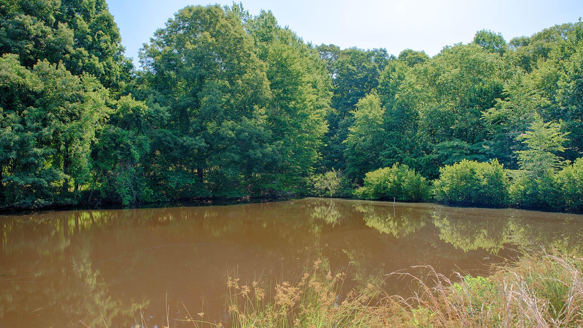  Log Cabin for Sale in VA