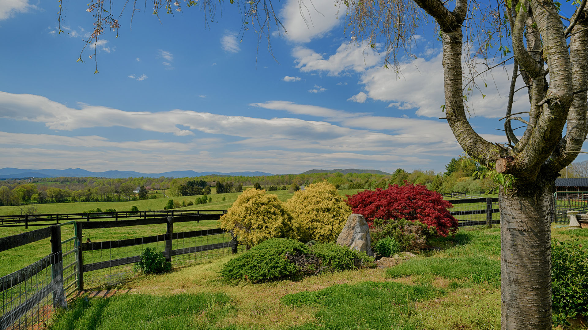 Horse Farm for Sale in Virginia