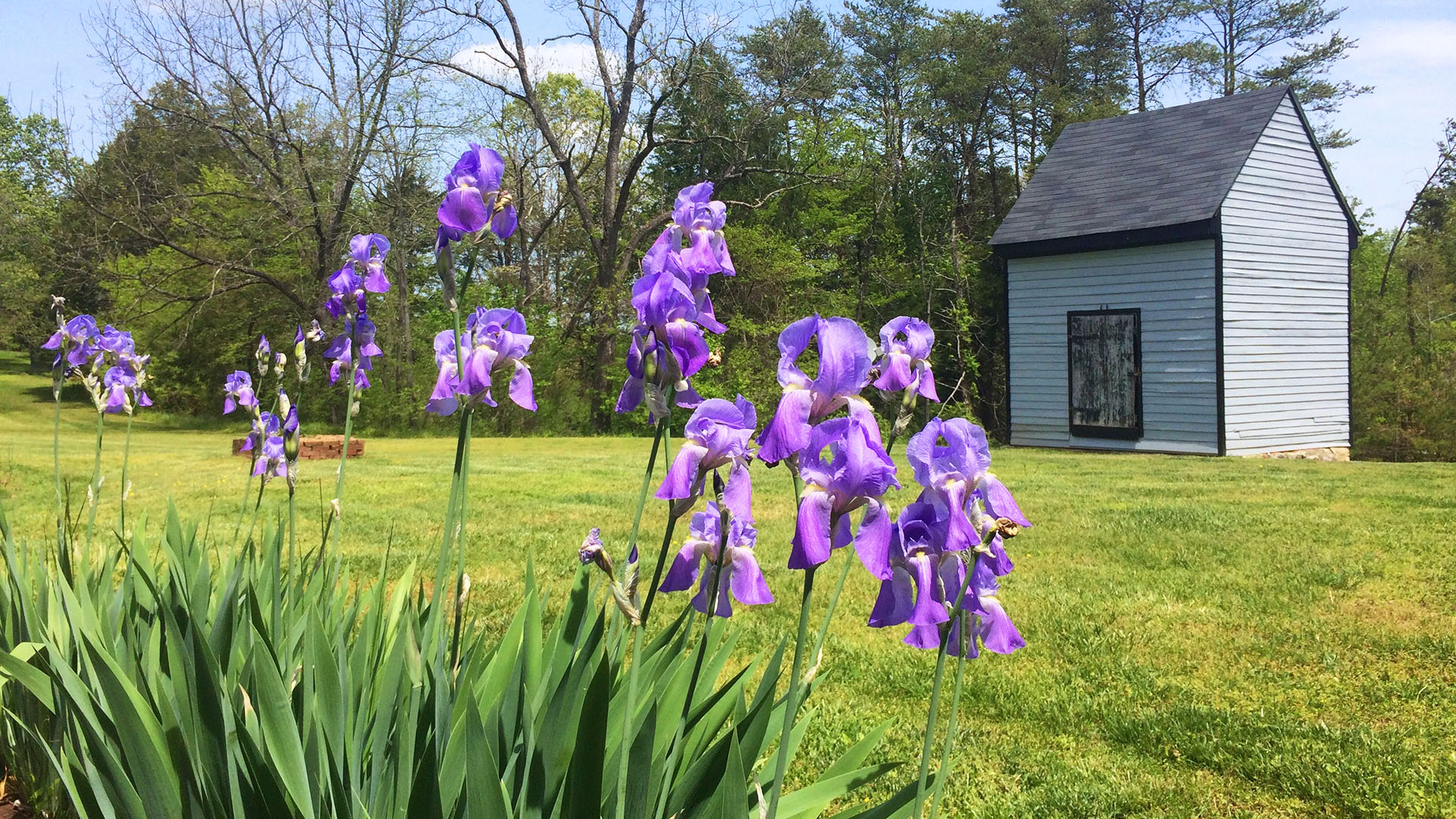 Fluvanna VA Historic Home for Sale